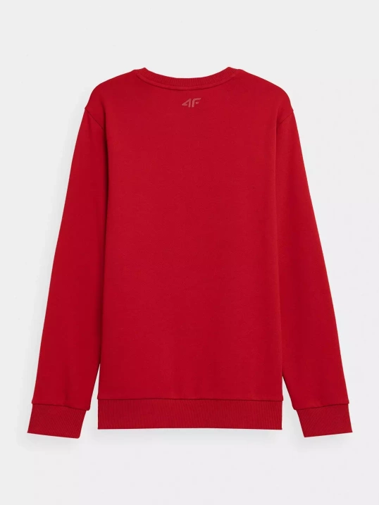 Bluza 4F H4L22-BLM350 62S