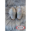 Buty Elegant Jasny Szary