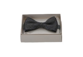 Szara w kratę Mucha BEVANTE Leos Gray krata