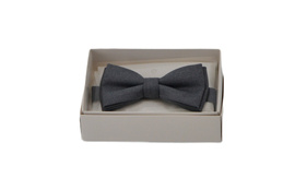 Szara Mucha BEVANTE Aliko Dark Gray